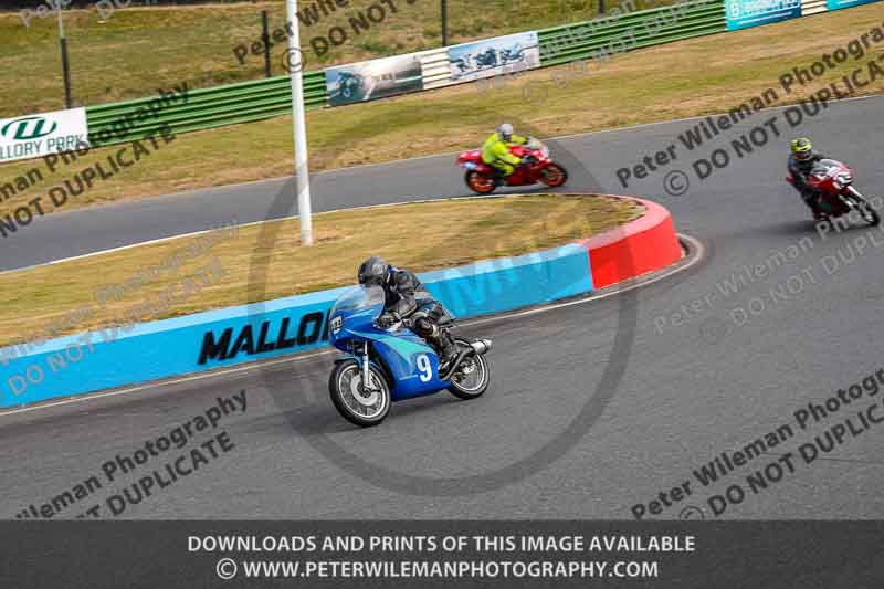 Vintage motorcycle club;eventdigitalimages;mallory park;mallory park trackday photographs;no limits trackdays;peter wileman photography;trackday digital images;trackday photos;vmcc festival 1000 bikes photographs
